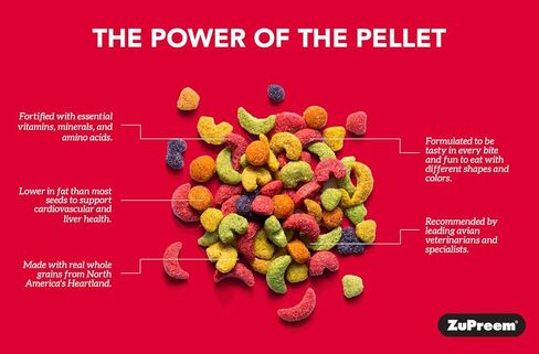 Zupreem 230305 Fruitblend X-Small Canary/Finch Food, 14-Ounce in Kuwait