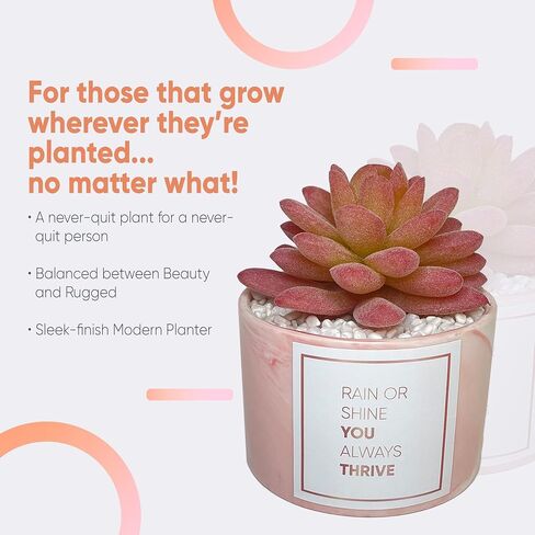 Thank You Gift Box for Women - Appreciation Package for Nurse, Doctor, Teacher - Gift Basket for Sister, Mom, Friend and Family with Candle, Electric Lighter, Artificial Plant and Message Board in Saudi Arabia