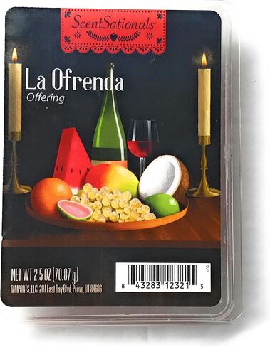 Scentsationals Day of The Dead Special Edition Scented Wax Cubes, 2.5 Oz Package (Recuerdame) in Saudi Arabia