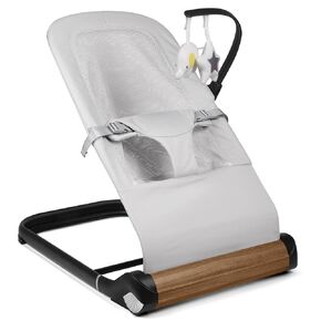 Baby Bouncer Chair - Comfortable Support for Your Little One's Blissful Moments (Net, Black)
