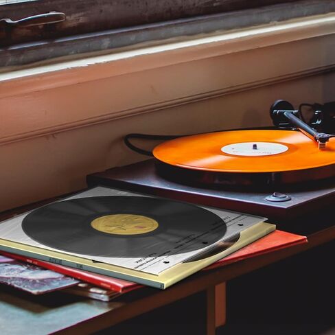الأكمام الداخلية لتسجيل الفينيل: أكمام واقية شفافة من ورق الأرز مقاس 12 بوصة مضادة للكهرباء الساكنة، LP سجل خالية من الأحماض لتخزين الفينيل، 25 قطعة in Kuwait