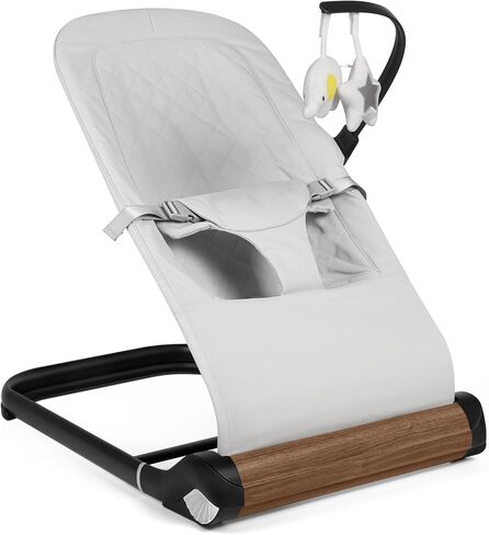 Baby Bouncer Chair - Comfortable Support for Your Little One's Blissful Moments (Net, Black) in Saudi Arabia