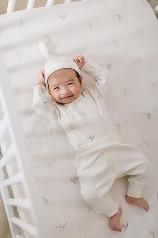 PEHR - مجموعة ستورك سربرايز كيمونو 3 قطع (3-6 أشهر) in Kuwait