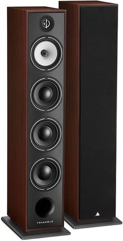 triangle Borea BR09 Hi-Fi Floor Standing Single Speaker (Walnut) in Saudi Arabia