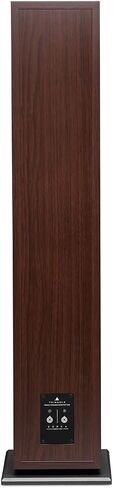 triangle Borea BR09 Hi-Fi Floor Standing Single Speaker (Walnut) in Saudi Arabia