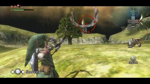 The Legend of Zelda: Twilight Princess in Saudi Arabia