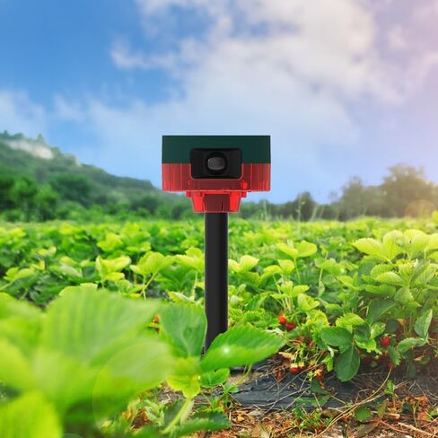 إنذار صوتي وضوء ستروب بالطاقة الشمسية، كاشف حركة 360 درجة، تسجيل 20 ثانية، نظام تنبيه أمني لصافرة الإنذار لرسالة مخصصة لفيلا المزرعة (أحمر) in Saudi Arabia