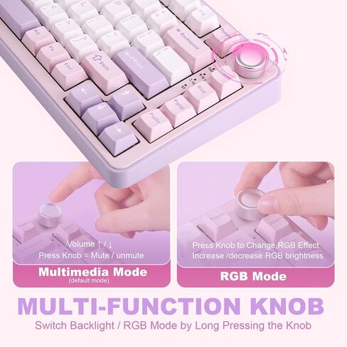 YUNZII B75 PRO Wireless Mechanical Keyboard,75% Layout with Knob,Hot Swap Gasket Custom Structure,Creamy Pre-lubed Switches,RGB Backlit,Bluetooth/Type-C/2.4G for Win/Mac(Milk Switch,Pink) in Saudi Arabia
