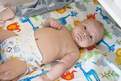 Organic All in One Reusable Cloth Diaper (Circus, L (24-35 lbs)) in Saudi Arabia