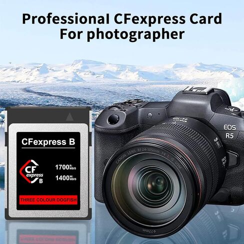 Dogfish 2TB CFexpress Type B Card, Up to 1700MB/s, 8K 4K RAW Photo and Video, CF Express Flash Memory for Nikon Canon Panasonic Cameras Camcorders in Saudi Arabia