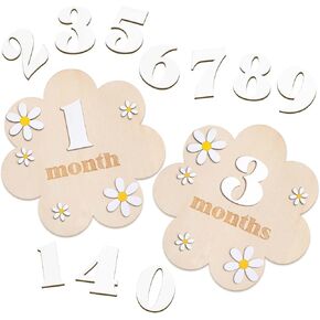 3D Wooden Daisy Baby Monthly Milestone Sign Cards 1-12 Months Interchangeable Monthly Milestone Wood Discs Announcement Sign for Baby Shower Newborn Photo Props Gifts (Green)