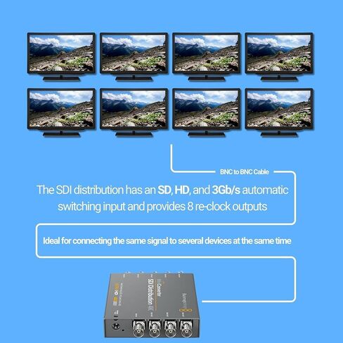 Blackmagic Design Mini Converter SDI Distribution Bundle with 25-Feet SDI Video Cable (BNC to BNC) and 6-Feet SDI Video Cable (BNC to BNC) (3 Items) in Saudi Arabia