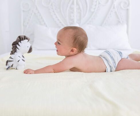 حفاضات قماشية ذكية قابلة لإعادة الاستخدام، مجموعة مكونة من 10 قطع، تناسب غطاء الحفاضات الهجين الصادق، تناسب غطاء الحفاضات الذكية الرائعة للأطفال، متوافقة مع حمالة الجيب، 5 طيات ثلاثية و5 معززات، مقاس متوسط/كبير in Kuwait