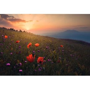 Posterazzi PDX1876003LARGE Artwork, Large, Multi