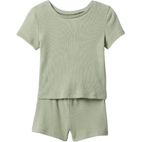 GAP baby-girls Tee and Short Rib Set