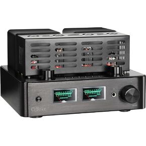 Tube Amplifier, Tube Amplifier Home Audio, Stereo Vacuum Tube Amplifier, with Bluetooth 5.0, Treble Bass Control, Subwoofer Output, Headphone Output, with Record Player Phono Preamp and USB DAC