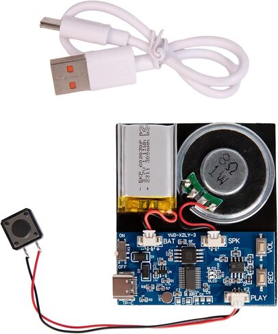 Recorder Module -128MB Push Button Activated Recording Device with Speaker, Type-C Cable, and Recording Capability 23 Minutes for Personalized Greetings, DIY Projects, and Holiday Crafts (Blue) in Kuwait