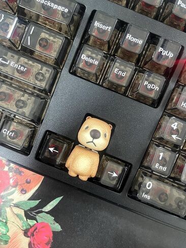3D keycap, Keyboard Cap, hot Key R4 Cherry keycap, Custom Gaming Keycaps Machinery Base for ESC Key Stormtrooper，Classic film, (Star-war1) in Saudi Arabia