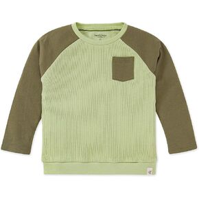 Burt's Bees Baby Baby Boys' Colorblock Tee - Pocket