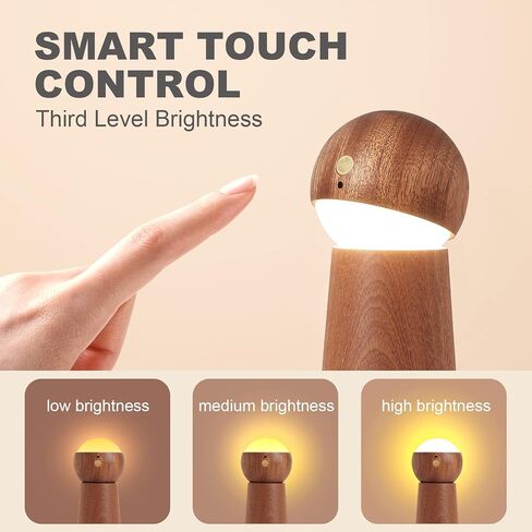 Intelligence Voice Activated Night Light,Three-Level Dimmable Touch Control Table Lights,Rechargeable Led Indoor Light for Kid in Living Room,Bedroom(Sapele in Kuwait