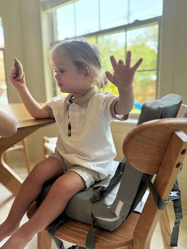 PandaEar Toddler Booster Seat for Dining Table, Portable Increasing Booster Cushion with Backrest & Adjustable Seat Belt for Kids Children, Non-Slip Bottom (Grey) in Saudi Arabia