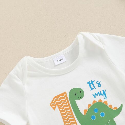 Baby Boy Birthday Outfits Dinosaur Print Short Sleeve Romper and Shorts Set Newborn 1st Birthday Outfits in Saudi Arabia