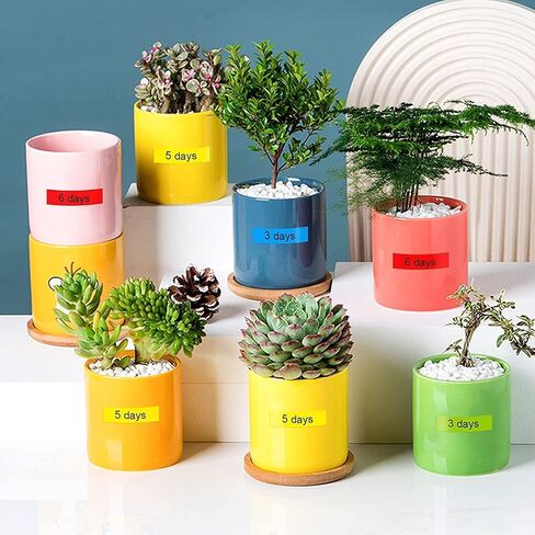 UNOKA 24mm .94 Laminated TZ Tape Replace for Brother TZe-251 TZe-151 TZe-451 TZe-551 TZe-651 TZe-751 1 Inch Color Label Maker Refills for P-Touch PTD610BT PTD600 PTP700 PTP710BT PTP910BT, 6-Pack in Saudi Arabia