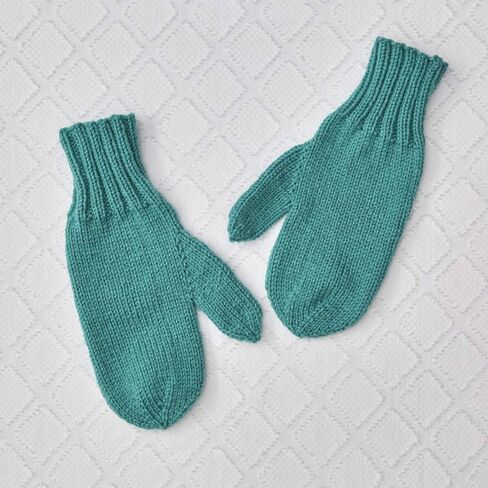 RED HEART 385953 Super Saver Yarn, Jade (Pack of 2) in Saudi Arabia