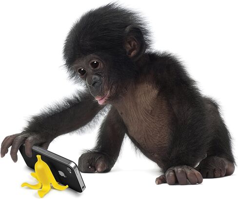 Genuine Fred Fred Banana Stand Phone Stand, BASTA in Saudi Arabia