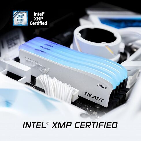 Kingston Technology Fury Beast RGB Special Edition 32GB (2x16GB) 3200MT/s CL16 DDR4 Desktop Memory Kit of 2 | Infrared Syncing | Intel XMP & AMD Ryzen Ready | RGB CTRL Software | KF432C16BWAK2/32 in Saudi Arabia