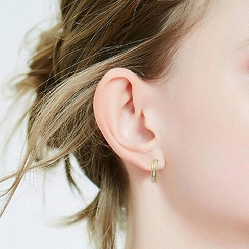 Jewelili 10K Yellow Gold 1/4 Cttw Natural White Round Diamonds Hoop Earrings in Saudi Arabia