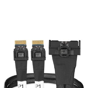 ICY DOCK MCIO 8i SFF-TA-1016 to 2X SlimSAS 4i SFF-8654 Cable - 0.5M | MB310L-B