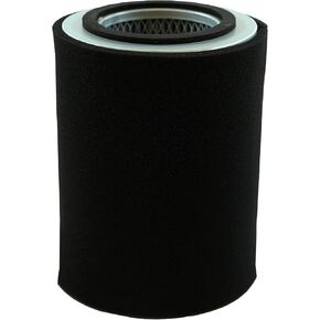 Replacement Polyester Air Filter For Solberg 851P, E875587