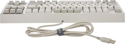 REALFORCE R2 Keyboard (Full, Black, Mixed Key Weight) in Saudi Arabia