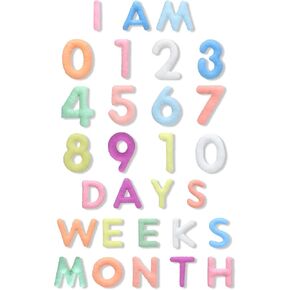 29 Pcs Felt Baby Monthly Milestone Decor Numbers and Letters Newborn Birth Photography Props, 1-12 Months Milestone Number Sign Decor for Toddler Boy or Girl (Boho Color)