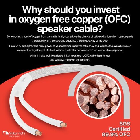 Nakamichi 24k Gold Plated Banana Plugs with 12 AWG Speaker Cable 99.9% OFC | Oxygen-Free Copper, Excel Series, Heavy Duty Braided for Amplifier Receiver Hi-Fi Stereo Audio Wire - Black (10 feet / 3.0m) in Saudi Arabia