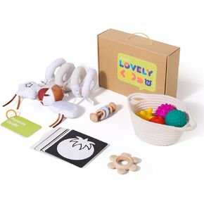 Youuys Montessori Toy Set for Babies 0-6 Months - 5-in-1 Learning Educational Play Kit with Sensory Balls, Spiral Hanging Toys, Teether Rings, Rattle & Vision Cards.