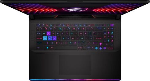 MSI Raider GE78HX 17" 240Hz QHD+ Gaming Laptop: Intel Core i9-14900HX, NVIDIA Geforce RTX 4080, 64GB DDR5, 2TB NVMe SSD, Thunderbolt 4, Cooler Boost 5, Win 11 Home: Black 14VHG-601US in Saudi Arabia