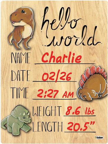 Hello World Newborn Baby Announcement Printed Wood Sign with Dinosaur Theme, 9 by 12 Inches, No Marker in Saudi Arabia