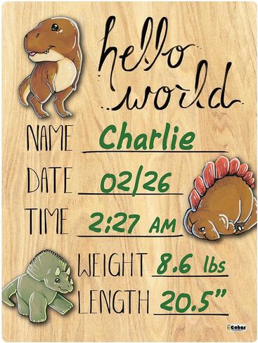 Hello World Newborn Baby Announcement Printed Wood Sign with Dinosaur Theme, 9 by 12 Inches, No Marker in Saudi Arabia