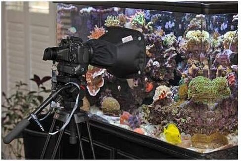 Anti-Reflection Portable, Flexible Lens Hood - Fits Any Lens in Saudi Arabia