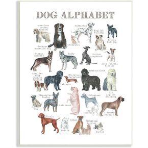 Stupell Industries Dog Alphabet Multiple Breeds Educational Animals Chart, Design by Dishique