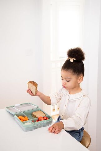 Ubbi Bento Lunch Box for Kids Back to School with 4 Compartments, BPA-Free, Leakproof, Dishwasher Safe, Food-Safe Material, Portion-Controlled Lunch Container, Blush Pink in Saudi Arabia