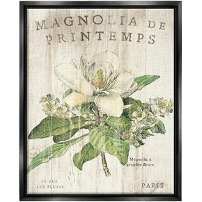 Stupell Industries French Magnolias In Spring, Design by Sue Schlabach, Beige, 16 x 20