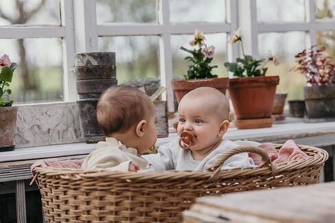 BIBS Pacifiers 6-18 Months | Colour Collection 2-Pack | BPA-Free Symmetrical Natural Rubber Nipple | Made in Denmark | Vanilla/Pine Color Pacifier in Kuwait