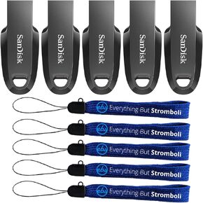 SanDisk Ultra Curve 5 Pack 128GB Flash Drives USB 3.2 Gen 1 USB-A High Speed Thumb Drive for Computers, Laptops, Office 100MB/s (SDCZ550-128G-G46) Bundle with (5) Everything But Stromboli Lanyards