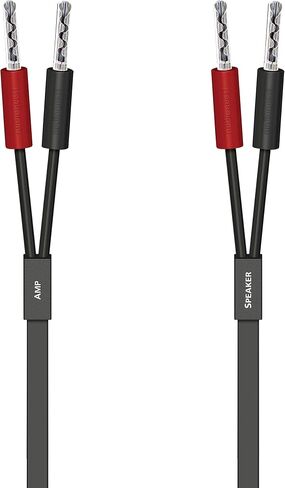 AudioQuest Q-2 Speaker Cables (Bananas,10ft, Pair) in Saudi Arabia