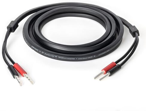 AudioQuest Q-2 Speaker Cables (Bananas,10ft, Pair) in Saudi Arabia