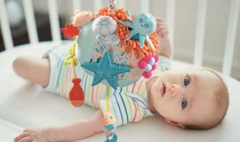 Miniland Sensorial Reef. Plush Rattle Toy for Infant and Toddlers with Many Different Sensory Stimulations. Fully Washable for Baby Teething. 2023 Toty Finalist. in Saudi Arabia