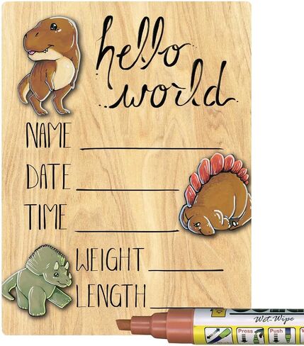 Hello World Newborn Baby Announcement Printed Wood Sign with Dinosaur Theme, 9 by 12 Inches, No Marker in Saudi Arabia